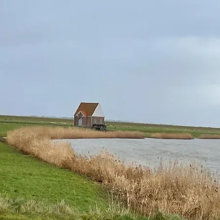 House With Large Garden, Campfire Hut